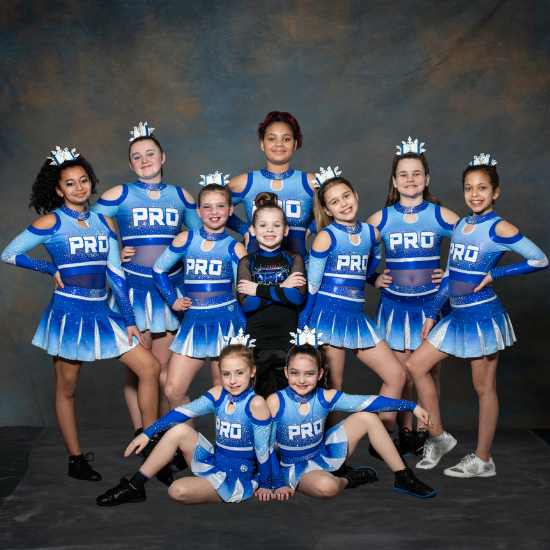 Novice Teams Novice Teams